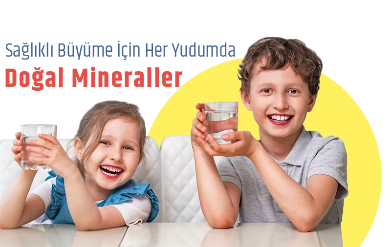 Diamond Alkali Su Arıtma Cihazı 3